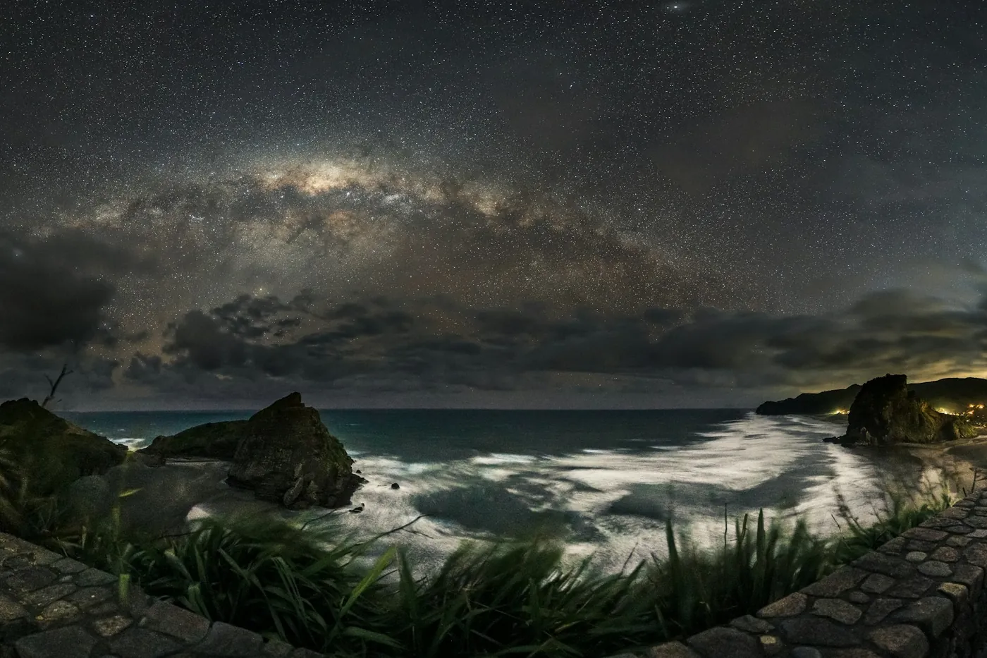 The Milky Way arching over a dark coastline with rocks in the sea and plants in the foreground